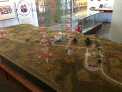 chollas_4021.JPG (1528478 bytes)