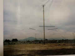 chollas_4092.JPG (565720 bytes)