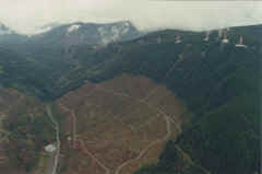 jimcreek-4q4XhK8.jpeg (192684 bytes)