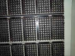 DSCN0093.JPG (2353501 bytes)